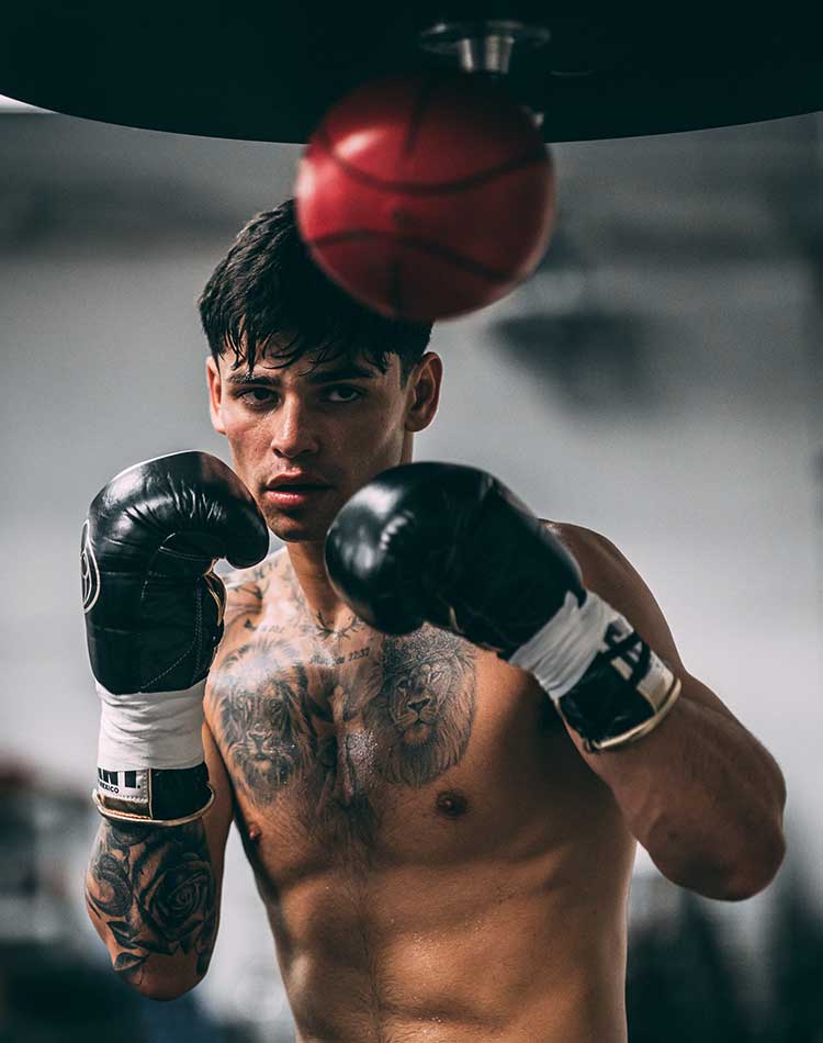 Photo Boxer in an Interview